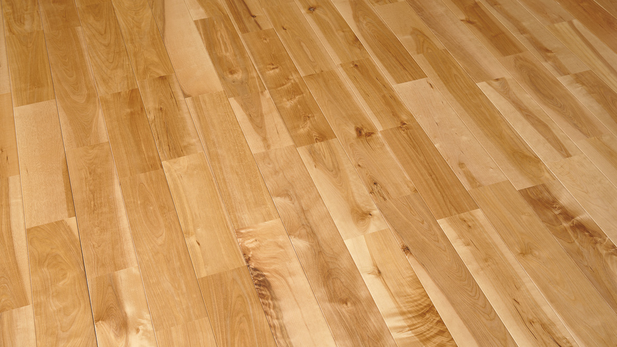 カバ ラスティック